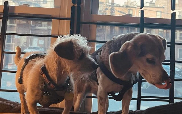 Peanut & Edie