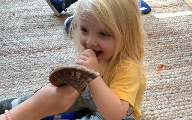 A Child at The Gan - Portland Jewish Preschool attempts to blow the Shofar.