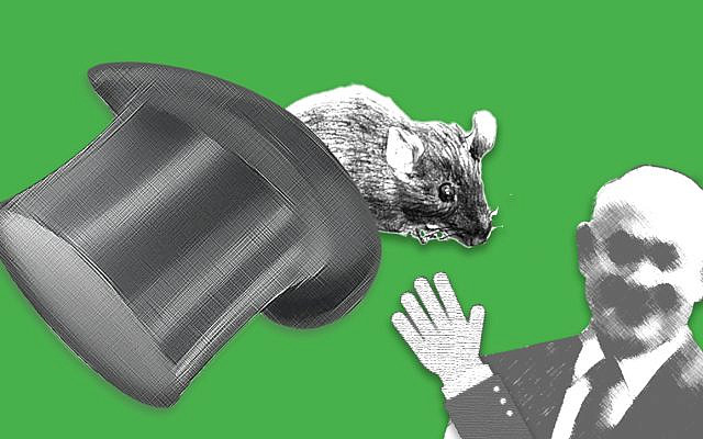 Wikimedia and own work