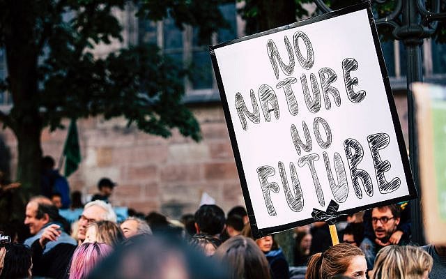 Markus Spiske, Pexels