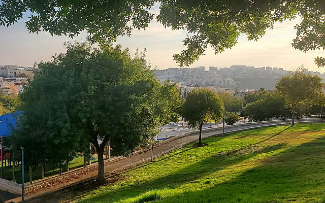 Ramat Beit Shemesh in the golden hour (courtesy)