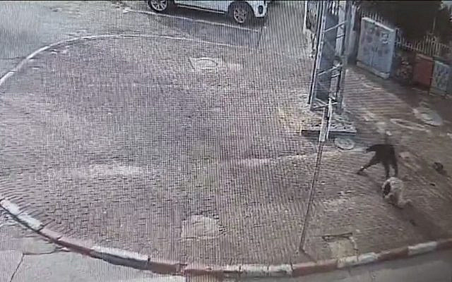 Screen capture from video of an assailant, bottom right, stabbing Aya Abu Hagag in Lod, November 30, 2023. (X. Used in accordance with Clause 27a of the Copyright Law) Screen capture from video of an assailant, bottom right, stabbing Aya Abu Hagag in Lod, November 30, 2023. (X. Used in accordance with Clause 27a of the Copyright Law)
