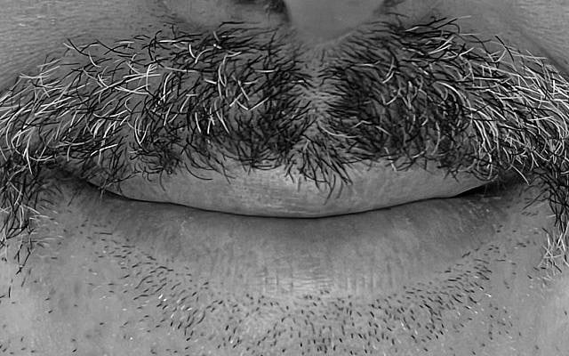 Moustache. Photo by Rod Kersh November 2023.