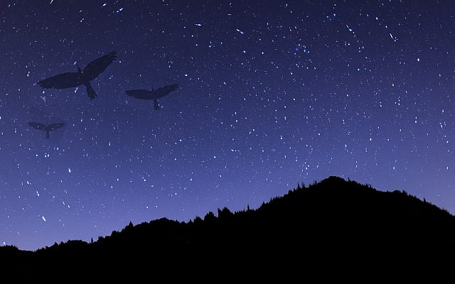Spirits rise over Israel.
