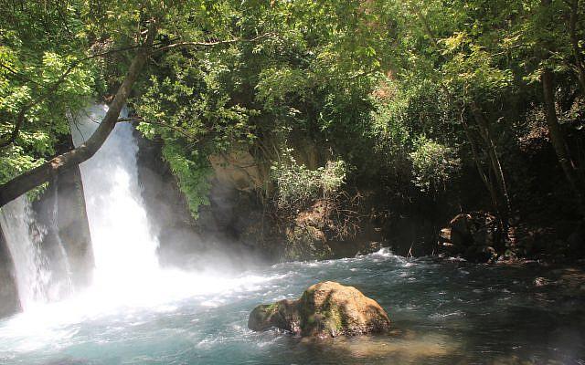 Nahal Hermon (Banias), 2019. Photo by Rod Kersh