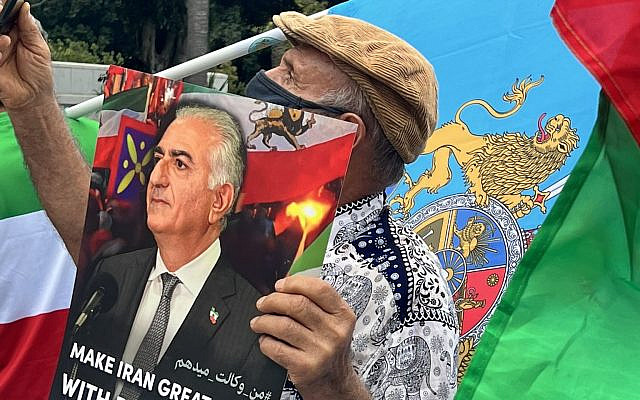 Protests in LA , Picture of Elham Sataki, free for any platforms