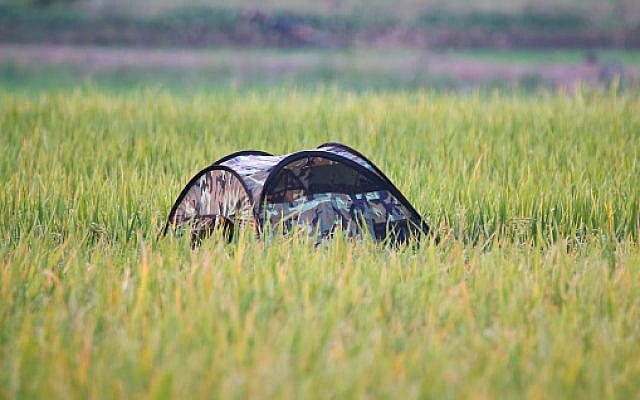 An unsuccessful tent camouflage. Getty Images, by license subscription.