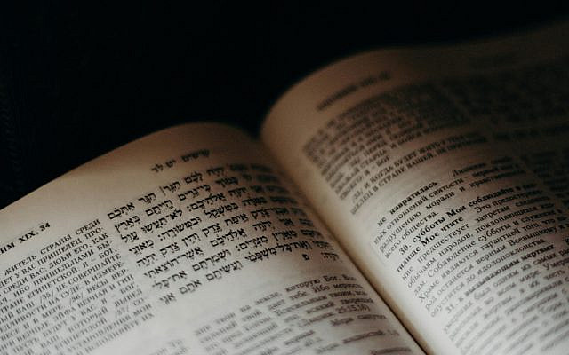 Pexels.com copyright by cottonbro studio: https://www.pexels.com/photo/close-up-of-a-book-4033820/