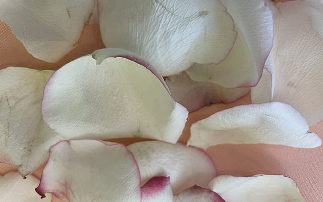 Roots, leaves. petals
Vicki Cabot