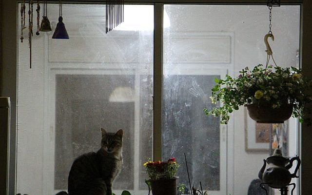 A peek into the lives of the Buchshtav family. (Adele Raemer)