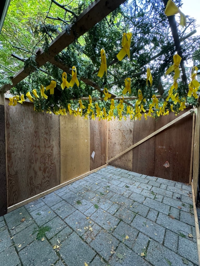 The Blogs: I am a 'self-proclaimed' Zionist | David Matlow | The Times ...