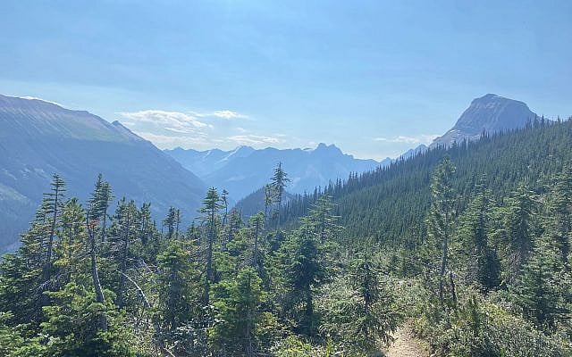 Iceline Trail, Yoho National Park. Credit: Idana Goldberg