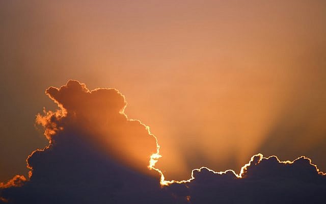Photo by Marcus Dall Col via Unsplash (2016)