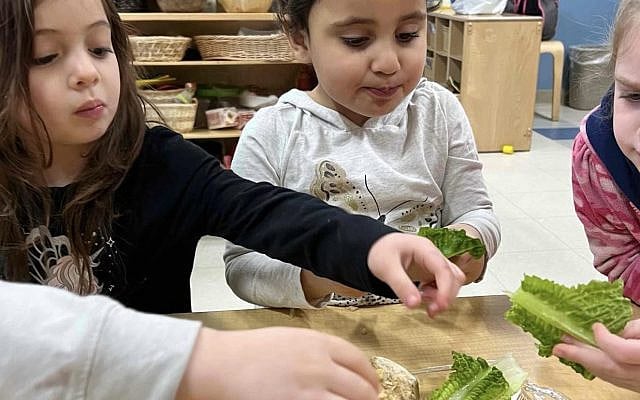 Students enjoy a model Seder in class. Maimonides School, Brookline, MA
