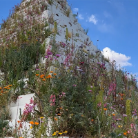 The Living Pyramide - Artist: Agnes Denes