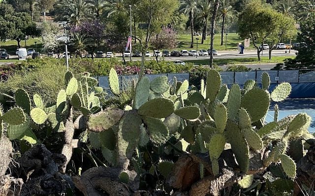 View of Tel Aviv from the grounds of the Museum of the Land of Israel, Ramat Aviv 4-25