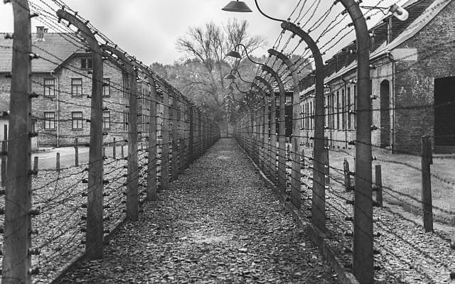 Photo: Unsplash, karsten-winegeart