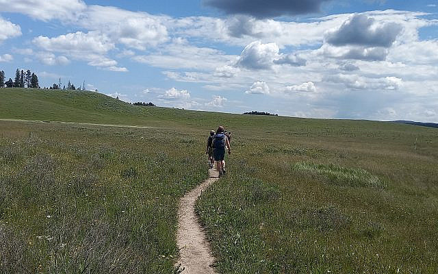 Walking together