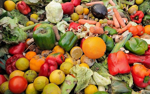 Rotten fruit and vegetable waste in a dumpster. (via Leket, via The Times of Israel)