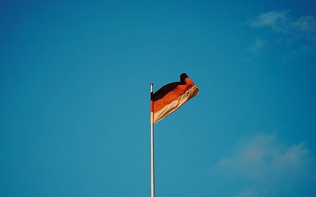 (Unsplash)