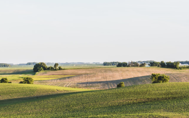 'Green Covered Land Under Blue Sky' by Sitraka (2019) via Unsplash