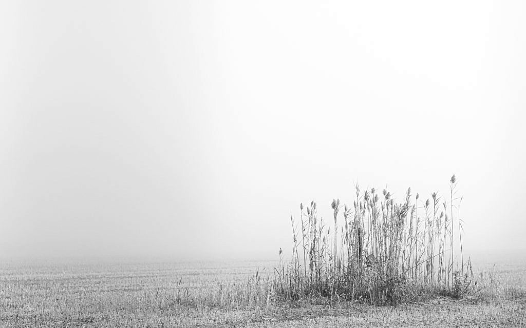 Photo credit: Adele Raemer