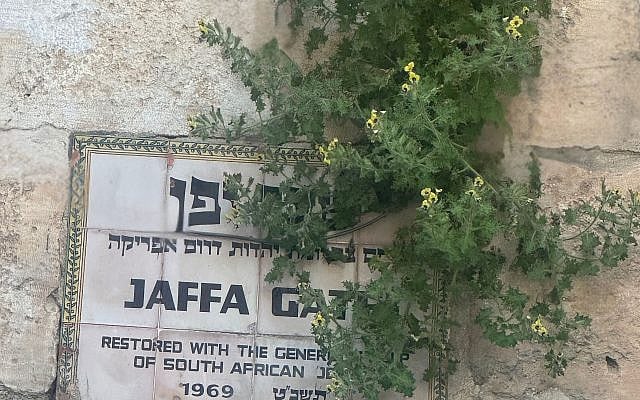 Jaffa Gate in Jerusalem has a plaque marking its restoration with the generous support of SA Jewry.