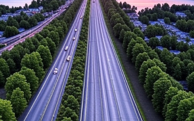 The Middle Road - XAI