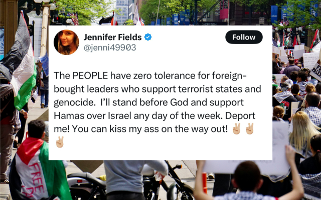 Screenshot of Field's comments overlayed on a photo of a pro-Palestine protest by Aveedibya Dey, uploaded for public use on Unsplash.