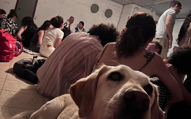 Riley in the safe room @telaviv