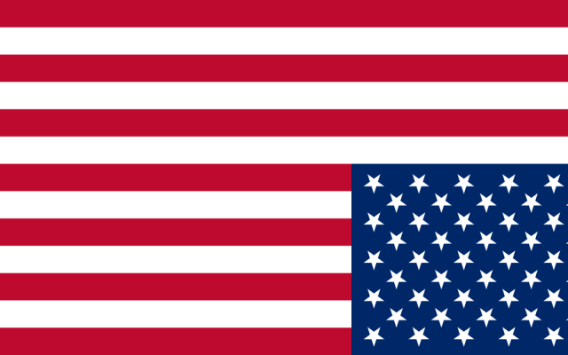 US Flag in Crisis