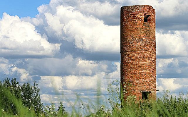 Image by svklimkin from Pixabay
