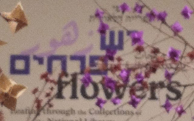 Shelley Freiman Installation (Heddy Breuer Abramowitz) of folded paper flowers