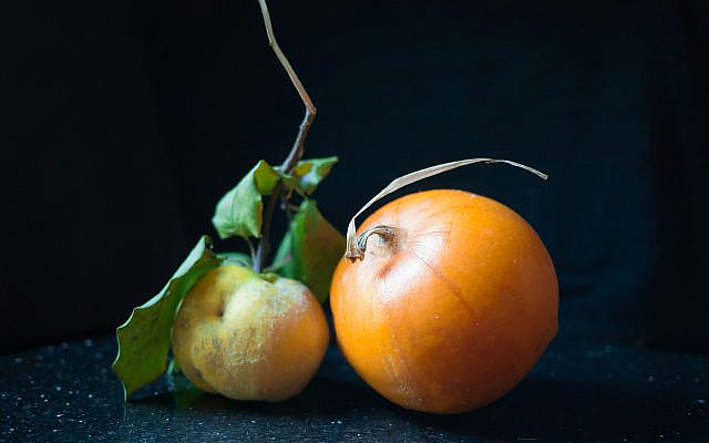 Quince and Pumpkin. (Leann Shamash)