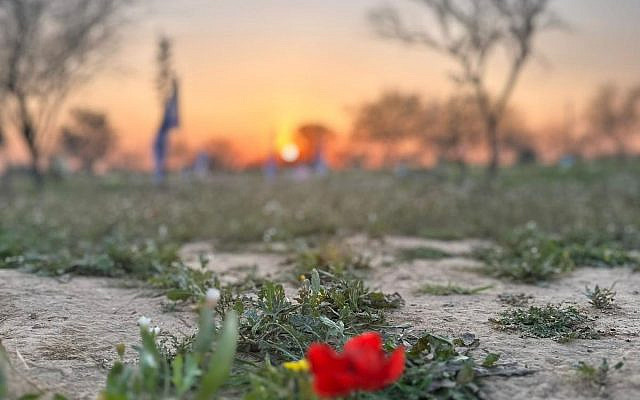Site of Nova festival. (courtesy)