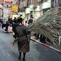 Carrying Palm Branches (Avraham Wald)
