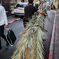 Dragging Palm Leaves Home (Avraham Wald)