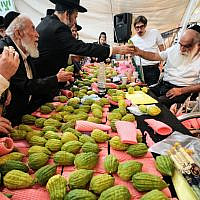 4 Species Shuk -Mahane Yehuda (Avraham Wald)