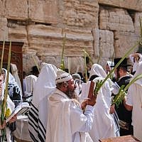 Western Wall Prayers (Avraham Wald)