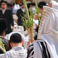 Western Wall Prayers with 4 Species (Avraham Wald)