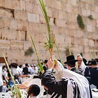 Western Wall Prayers with 4 Species (Avraham Wald)
