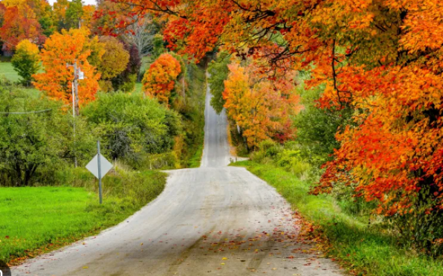 Fall in Vermont