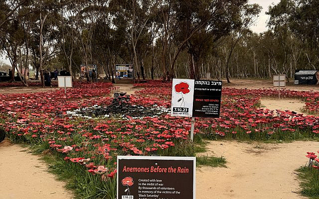 "Anemones Before the Rain" at the Nova Festival site in Re’im, Israel. (Photo: Daniel Balva)