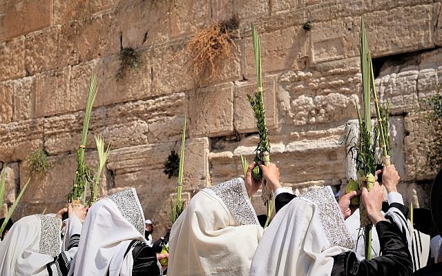 Waving the 4 Species - Western Wall (Avraham Wald)