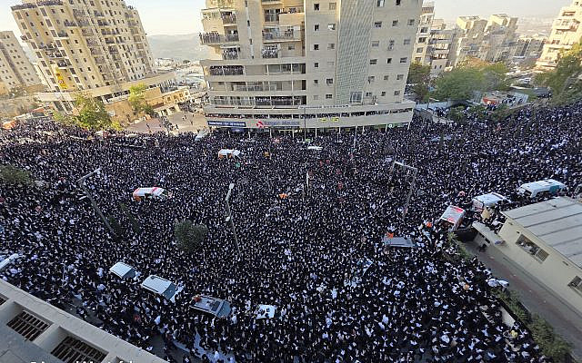 Partial view of the crowd. Source: Avromi Mostofsky
