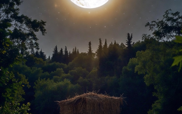 The Avraham, Sarah, the Sun and the Moon - Grok XAI The Avraham, Sarah, the Sun and the Moon - Grok XAI