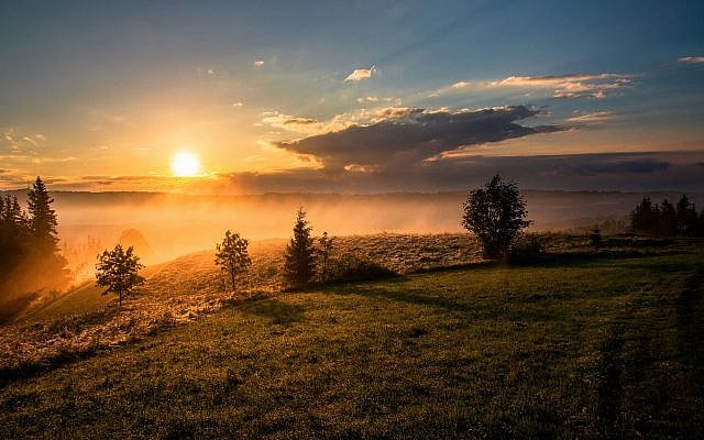 Photo by Dawid Zawila on Unsplash