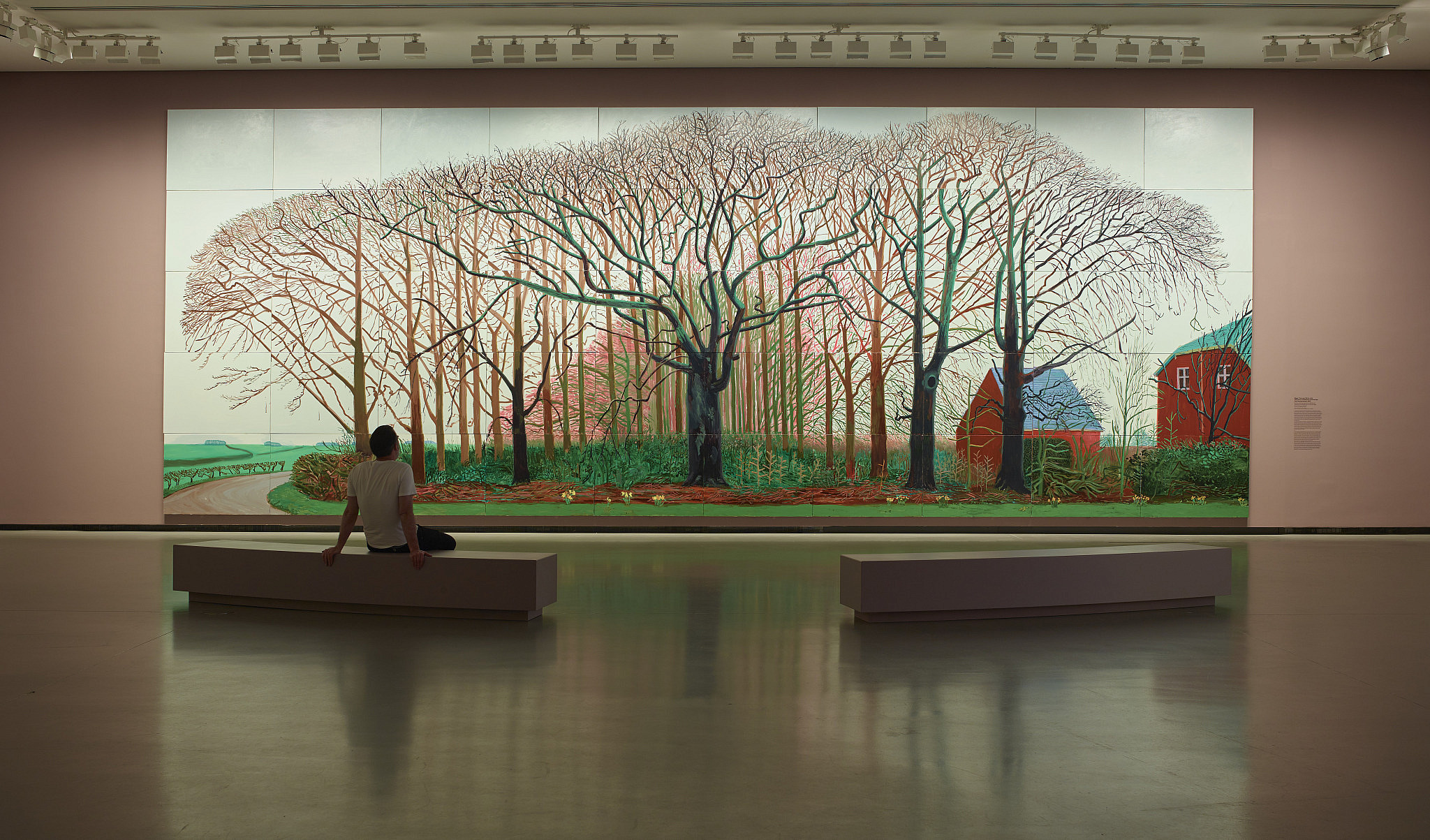 The Blogs: Between Worlds: Seeing Myself in Hockney | Simone