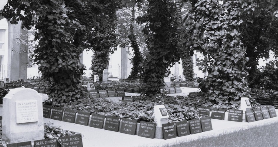 Snow Over the Ghetto, Budapest 1945