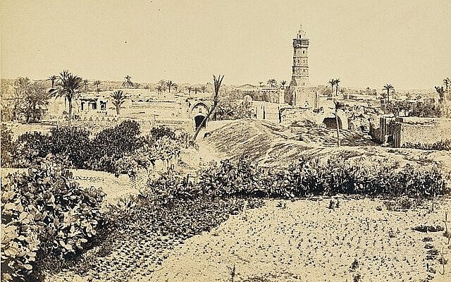View of Gaza City (1857). Wikimedia Commons.